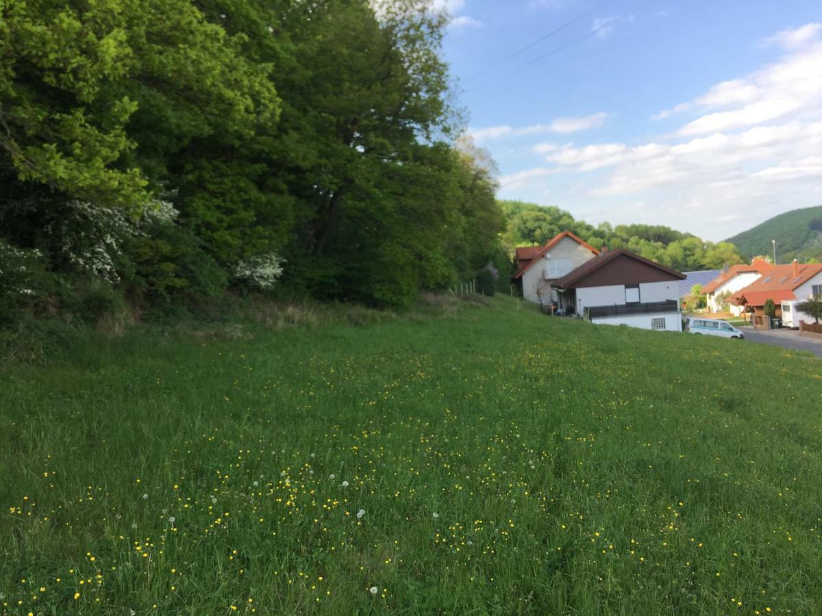 Ferienhaus Moscheltal Villa Waldgrehweiler Kültér fotó
