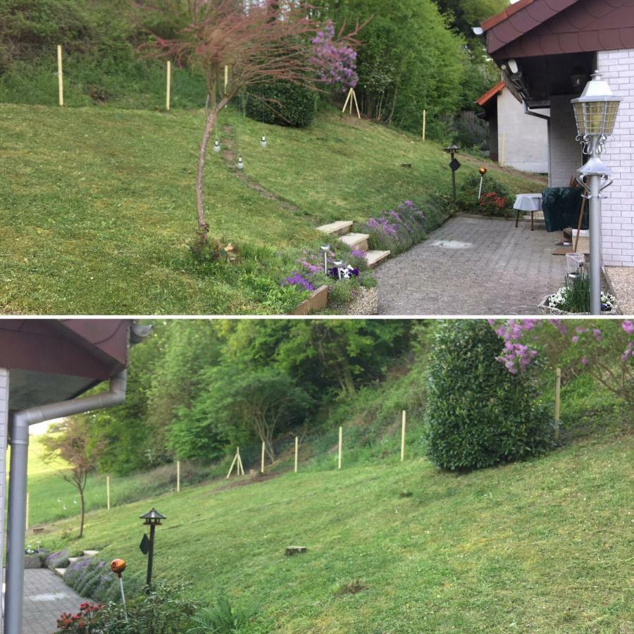 Ferienhaus Moscheltal Villa Waldgrehweiler Kültér fotó